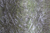 Cwrt Henri fibreglass roof work